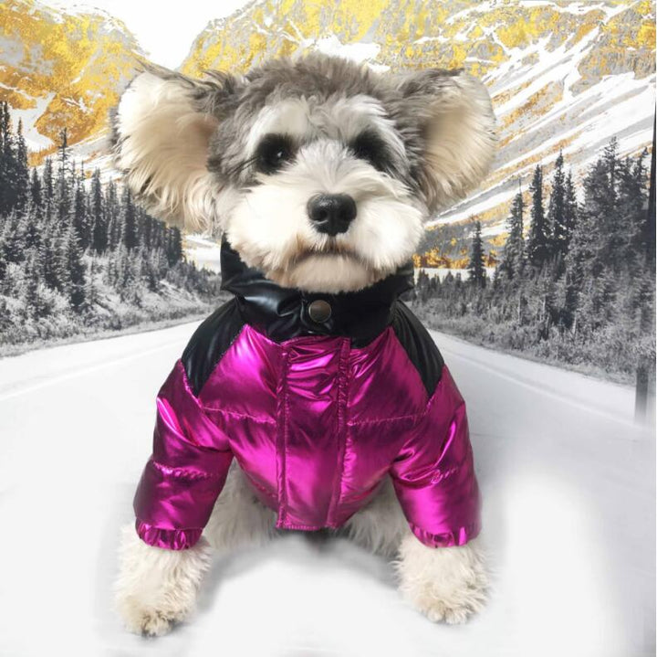 Why Your Pet Deserves the Pet Fur Collar Down Jacket