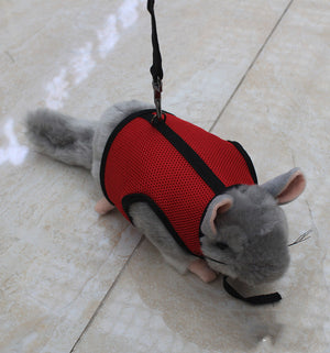 The Perfect Leash for Your Small Pet