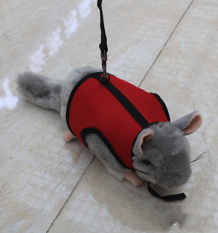 The Perfect Leash for Your Small Pet
