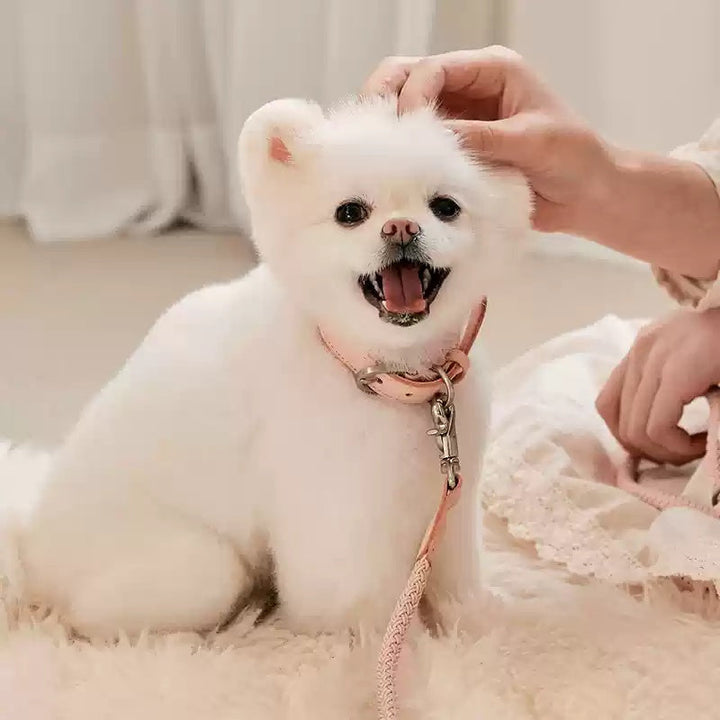 Discover the Perfect Blend of Style and Functionality with Our Leather Hand Holding Rope Dog Leash