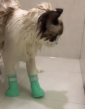 Protect Your Home and Your Furry Friends with Pet Anti-scratch Protective Gloves