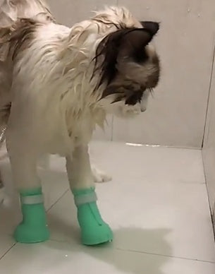 Protect Your Home and Your Furry Friends with Pet Anti-scratch Protective Gloves