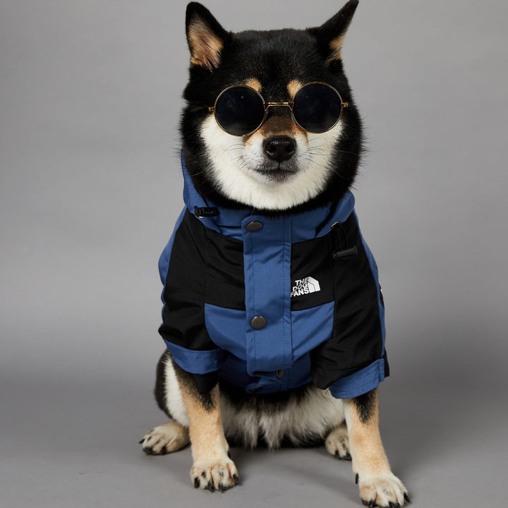 Windproof And Rainproof Pet Shell Jacket: The Ultimate Protection for Your Furry Friend
