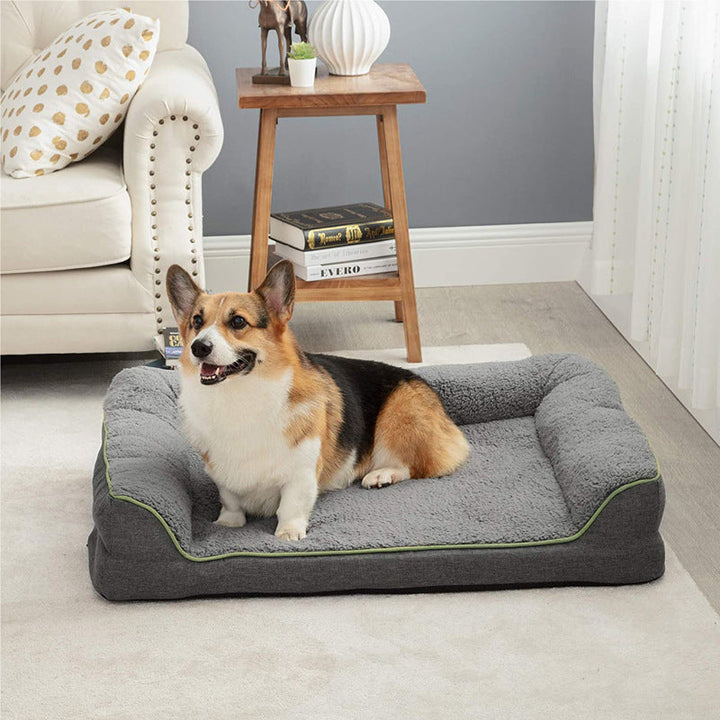 Why Your Pet Deserves the Medium Size Washable Pet Sofa Bed