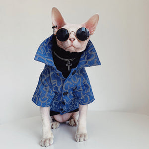 Hairless Cat Clothes: Fashion for Your Furry Friend