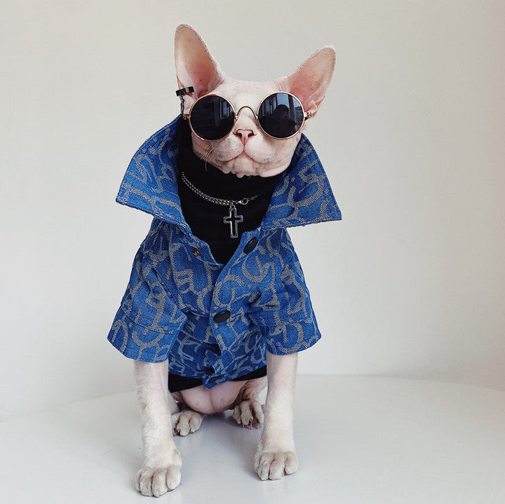 Hairless Cat Clothes: Fashion for Your Furry Friend