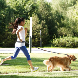 Harness Collar Jogging Adjustable Pet Leash: The Ultimate Companion for Active Pets