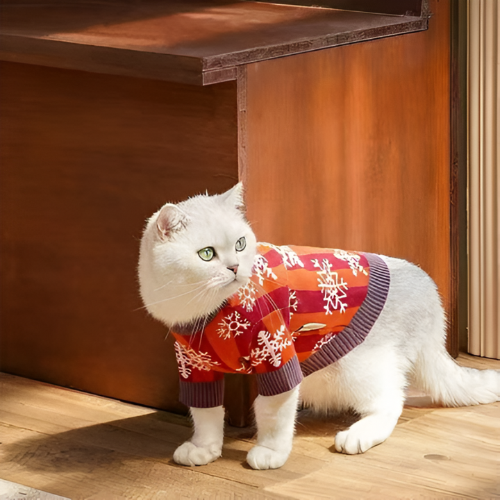 Stylish and Functional Pet Clothing