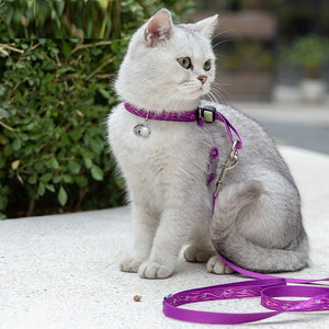 Discover the Perfect Pet Cat Bell Chest Strap Leash
