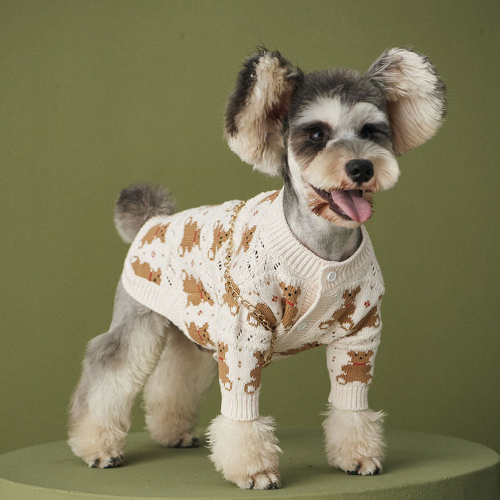 Dischnarui Pomeranian VIP Cute Pet Jacket - The Perfect Blend of Style and Comfort