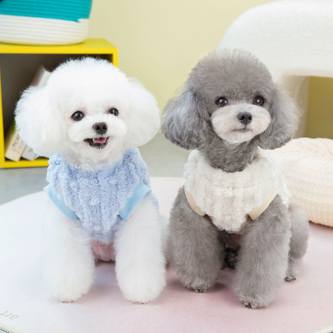 Winter Pet Clothes Two Legs Fluffy Jacket
