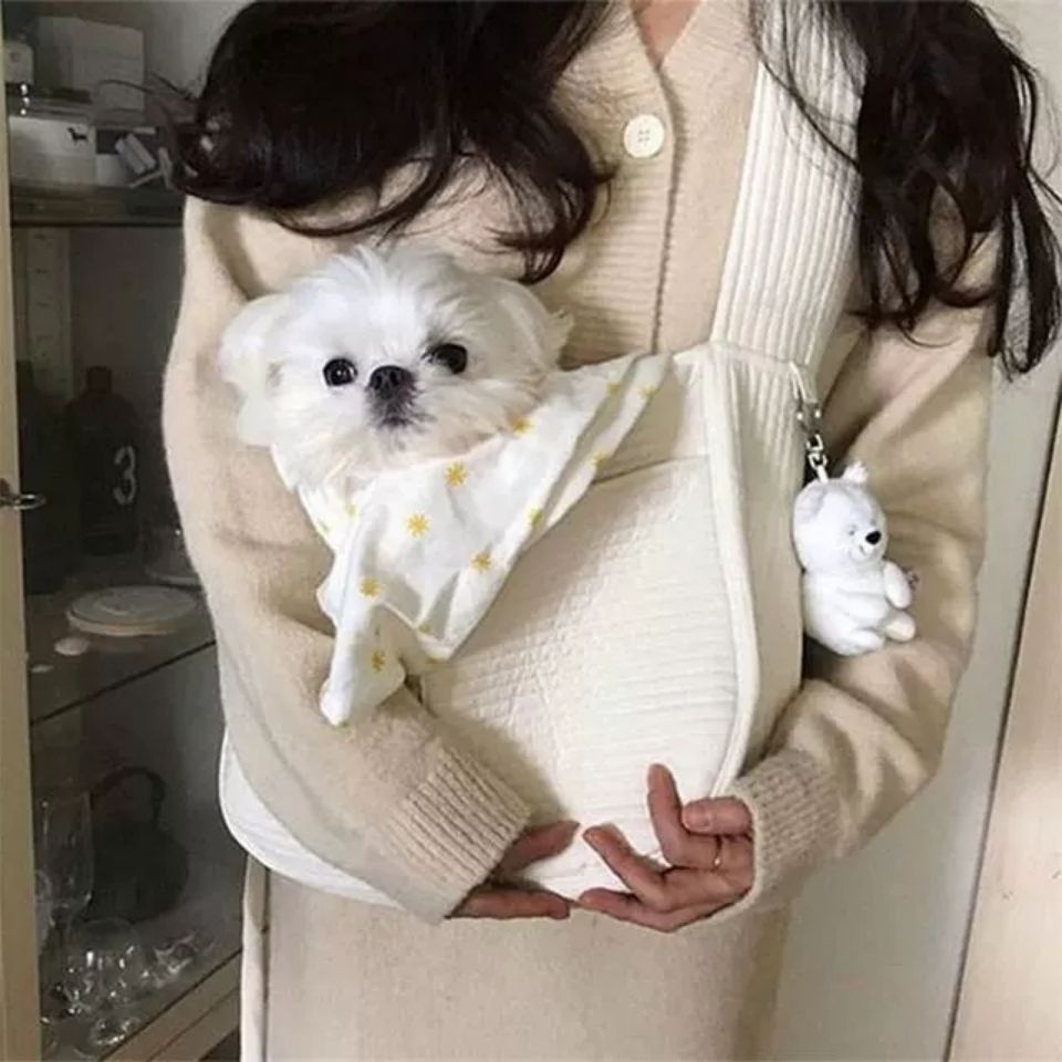 Handmade Pet Outdoor Travel Carrier