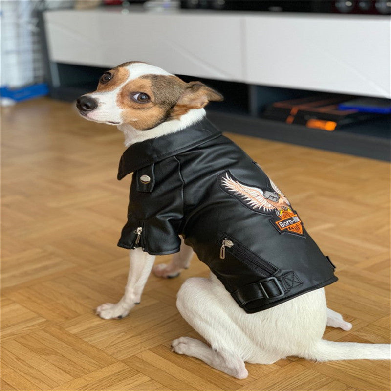 Pet Small Sticker Embroidered Eagle Leather Jacket