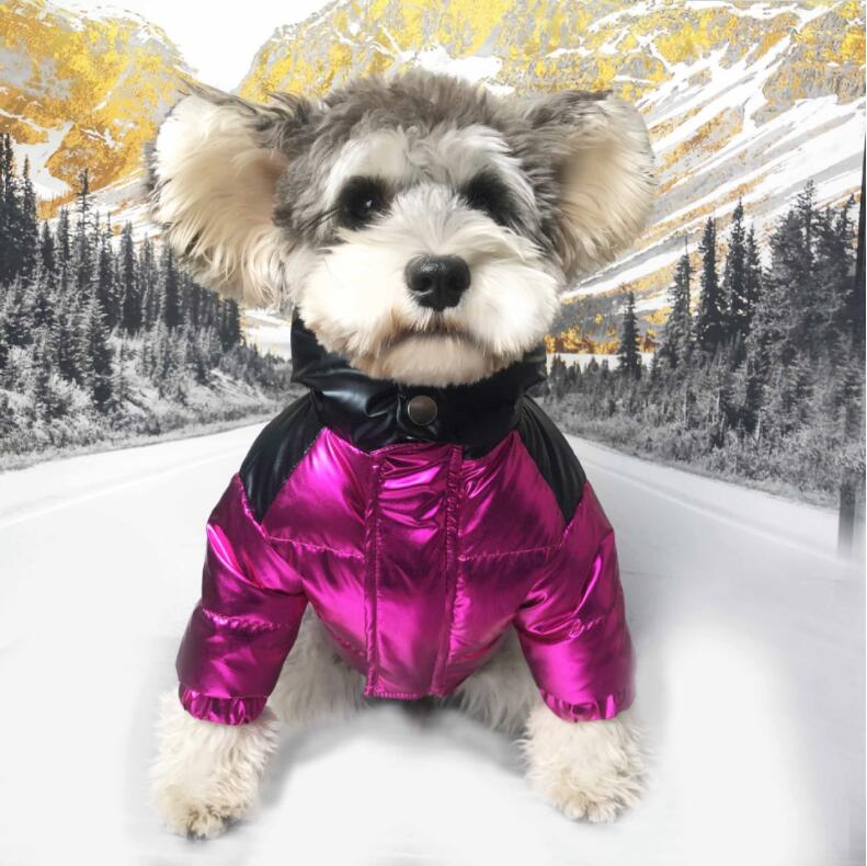 Pet Fur Collar Down Jacket