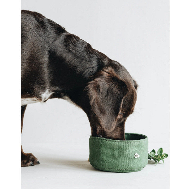 Folding Dog Bowl Tableware