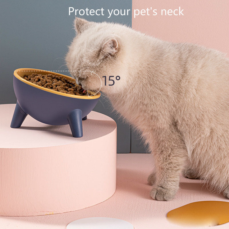 Cat Dog Bowl With Stand Pet Feeding