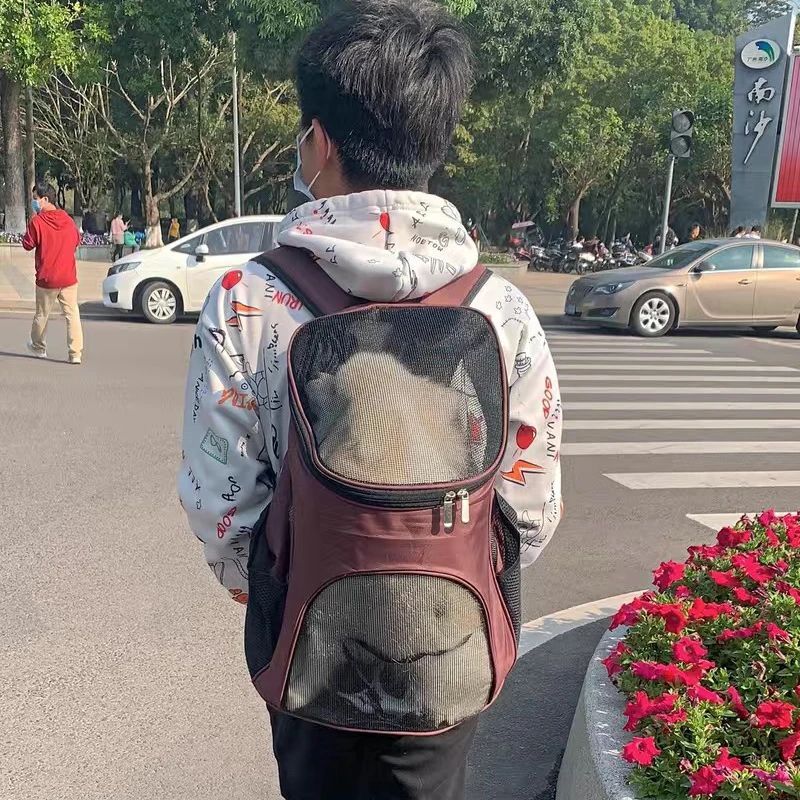 Breathable Puppy Dog Carrier