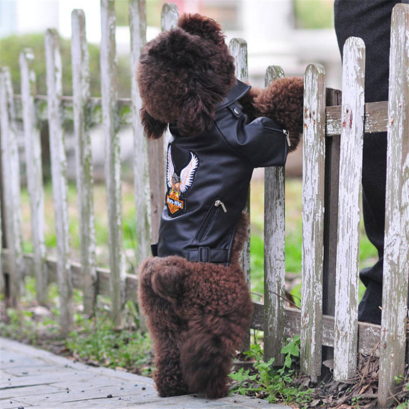 Pet Small Sticker Embroidered Eagle Leather Jacket
