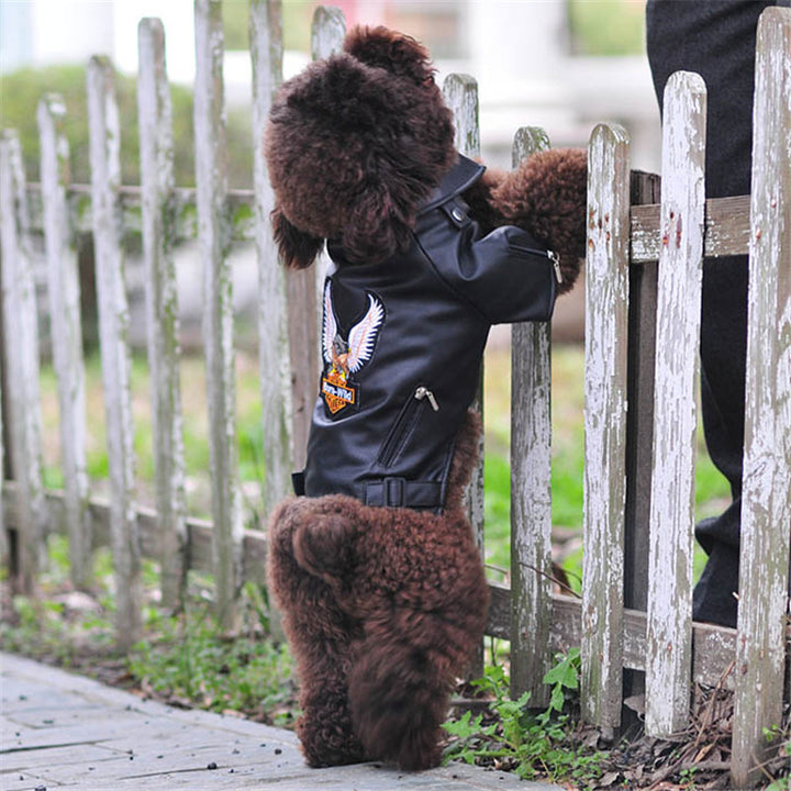 Pet Small Sticker Embroidered Eagle Leather Jacket