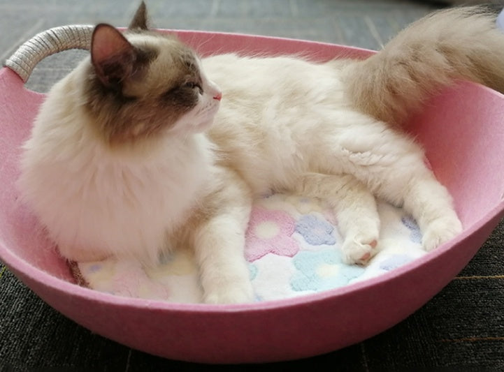 Pet Perch Cat Scratcher Bed
