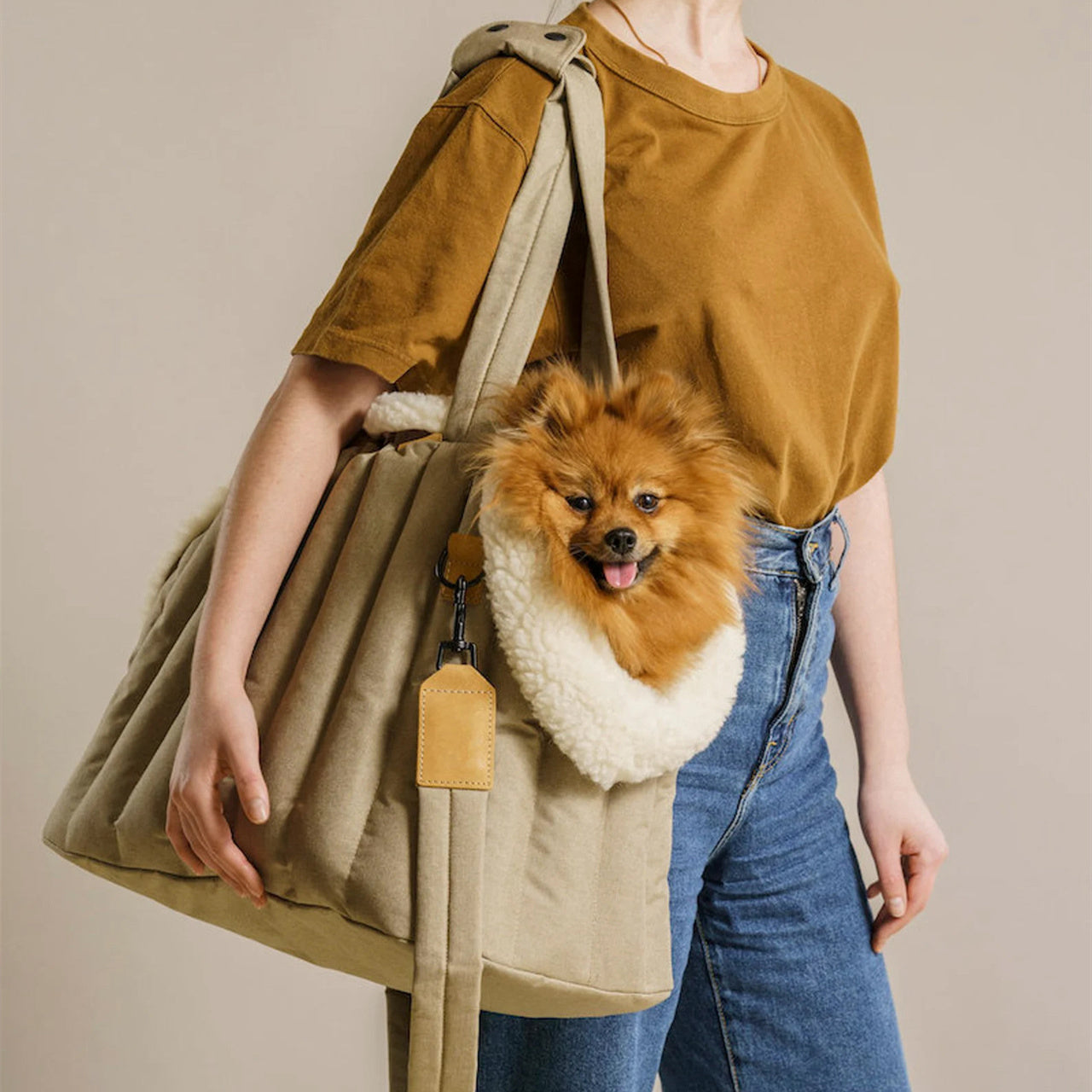 Pet Light Waterproof Portable Carrier