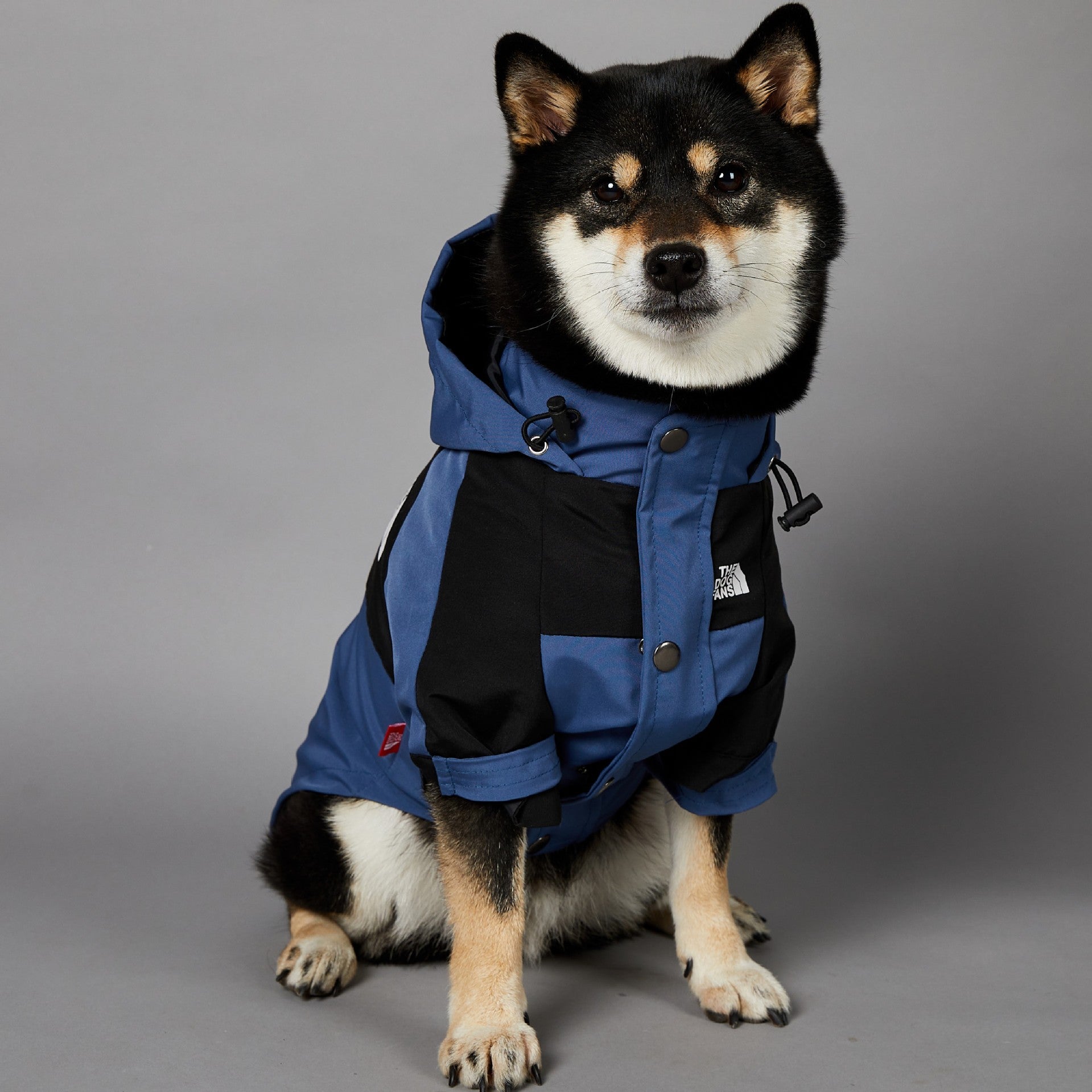 Windproof And Rainproof Pet Shell Jacket
