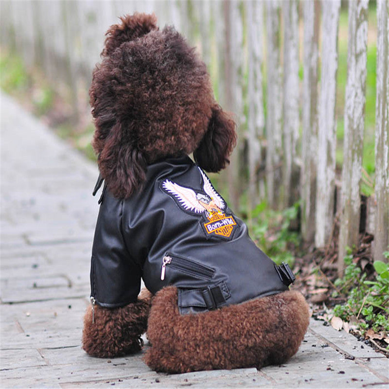 Pet Small Sticker Embroidered Eagle Leather Jacket