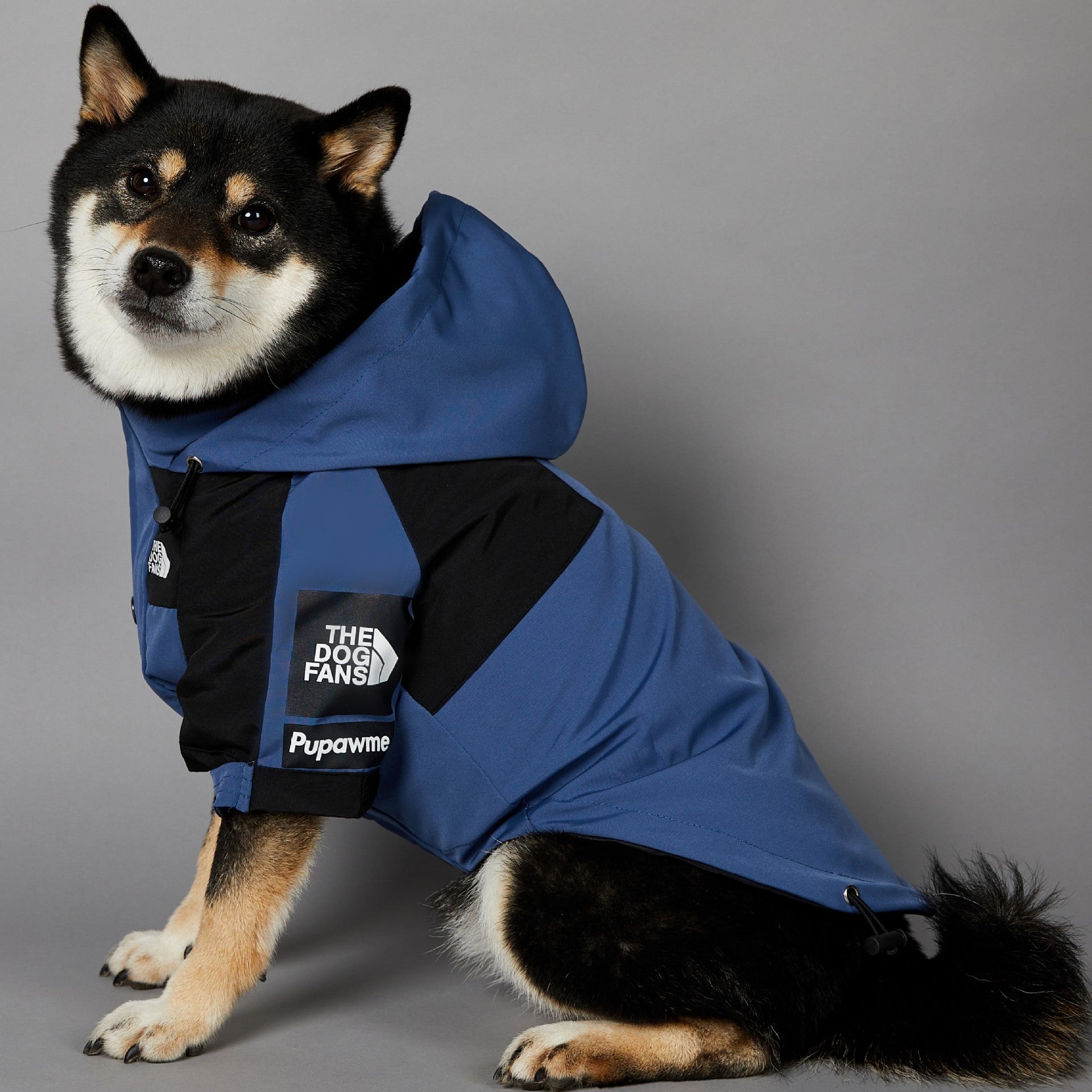 Windproof And Rainproof Pet Shell Jacket