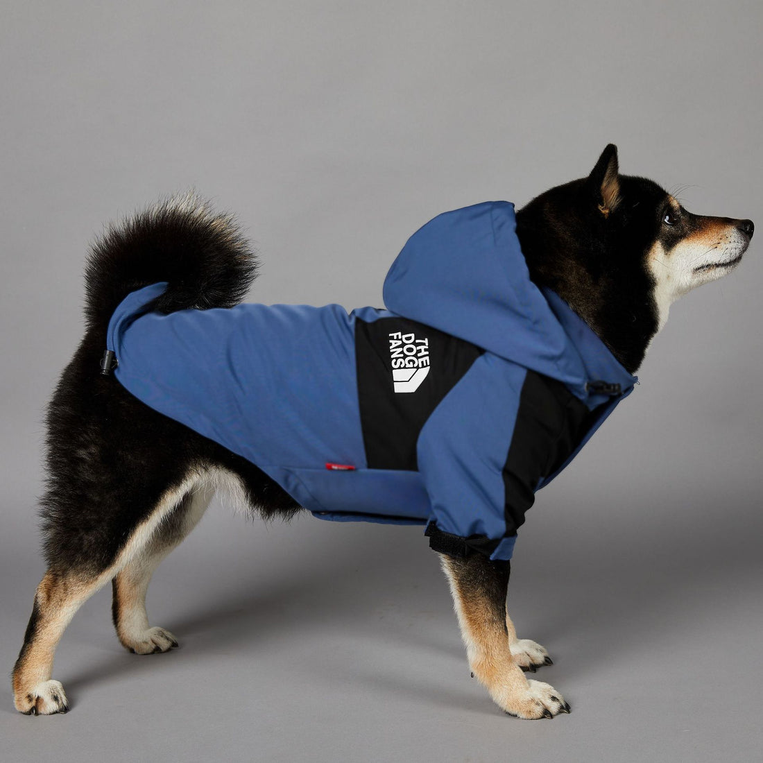 Windproof And Rainproof Pet Shell Jacket
