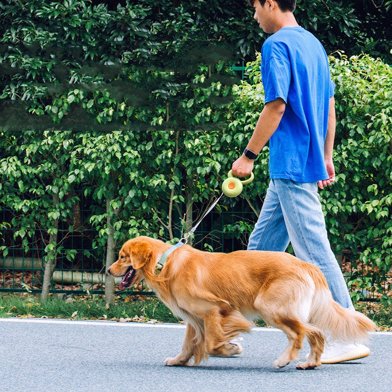 Dog Retractable Pet Leash