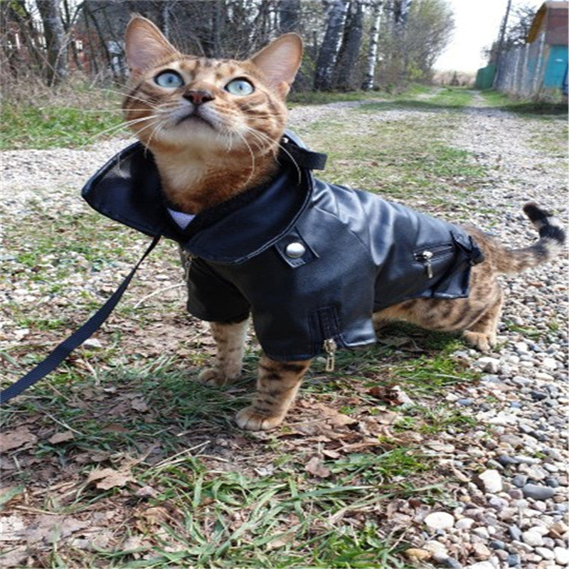 Pet Small Sticker Embroidered Eagle Leather Jacket