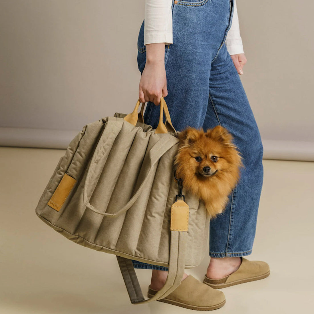 Pet Light Waterproof Portable Carrier