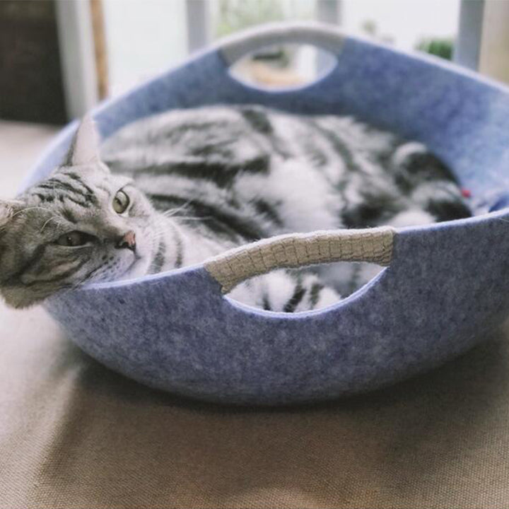 Pet Perch Cat Scratcher Bed