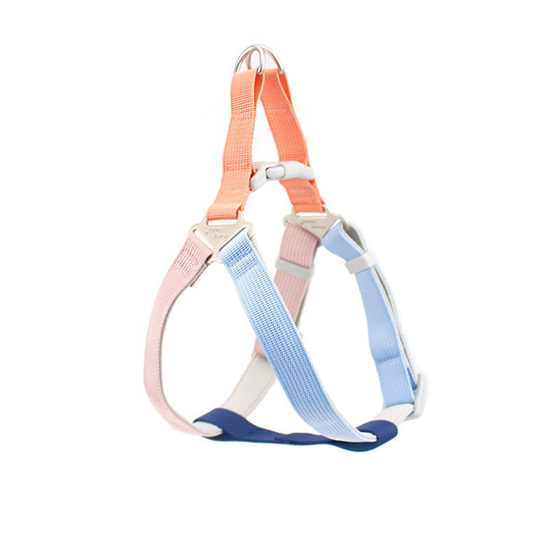 Colorful Outdoor Hand Holding Leash Pet Supplies