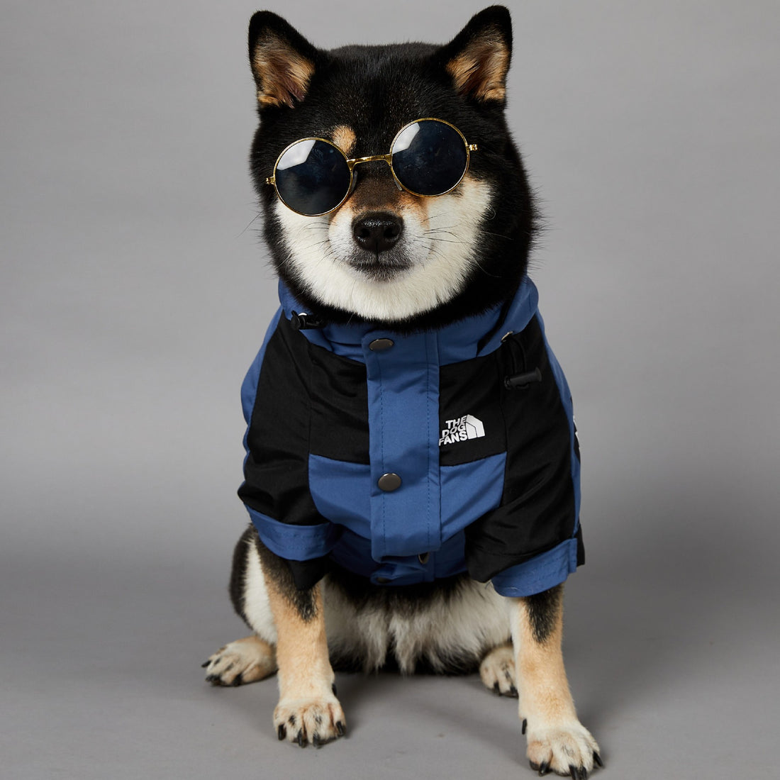 Windproof And Rainproof Pet Shell Jacket