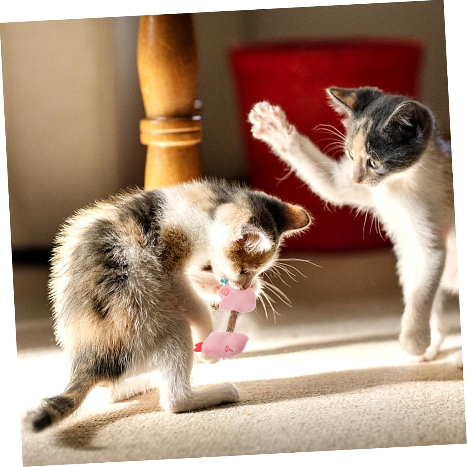 Cat Kitten Toys