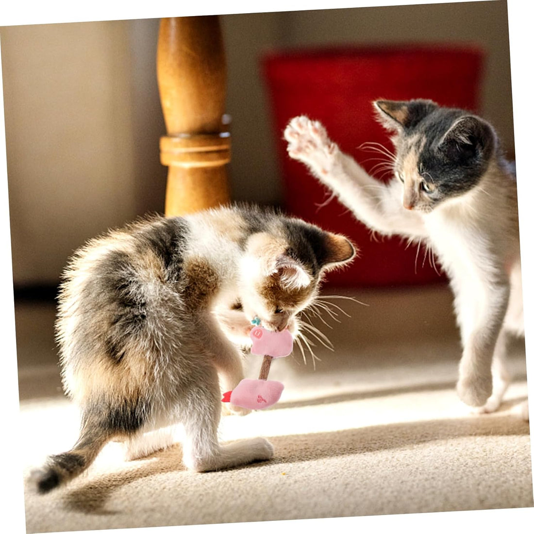 Cat Kitten Toys