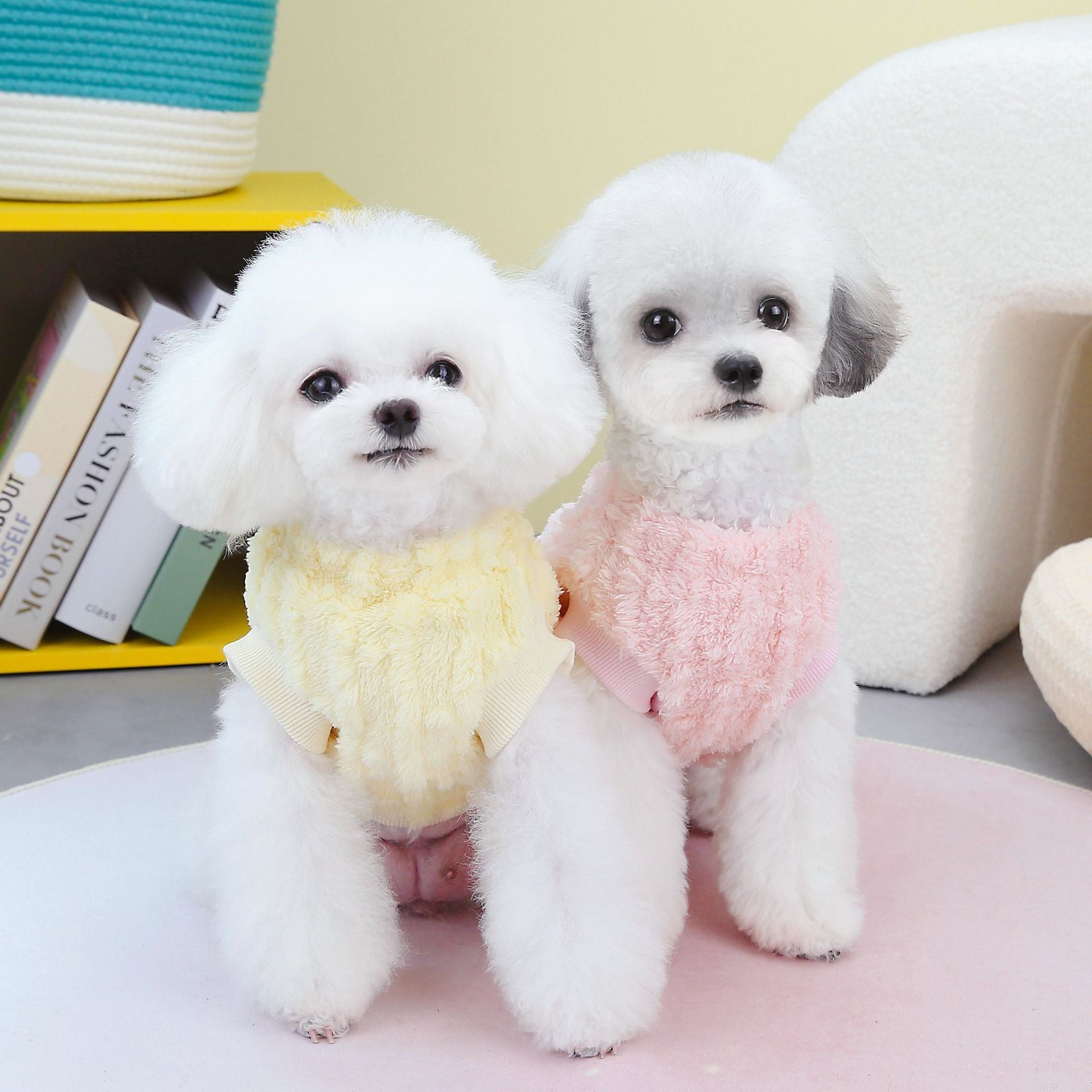 Winter Pet Clothes Two Legs Fluffy Jacket