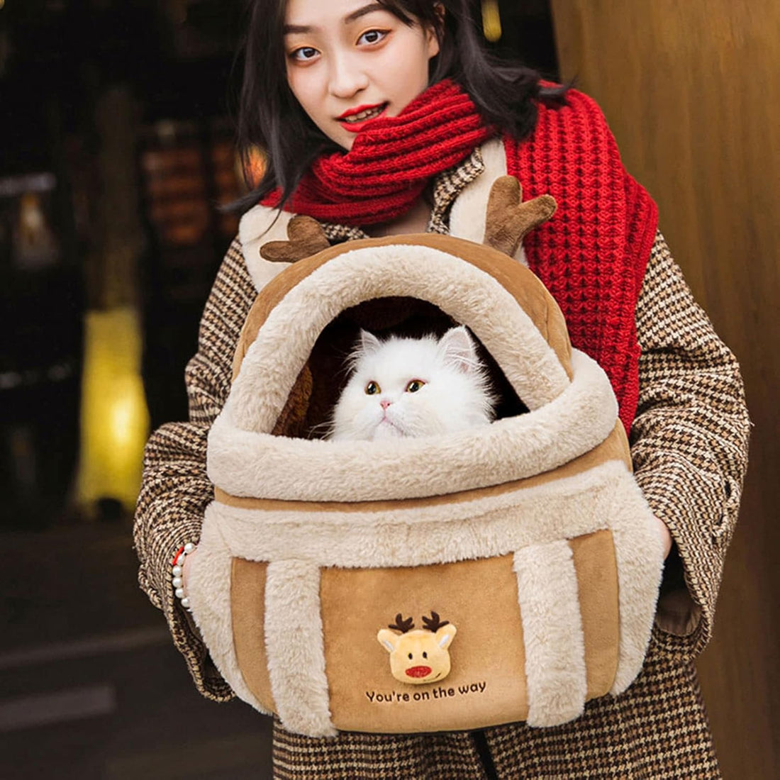 Pet Carrier Backpack