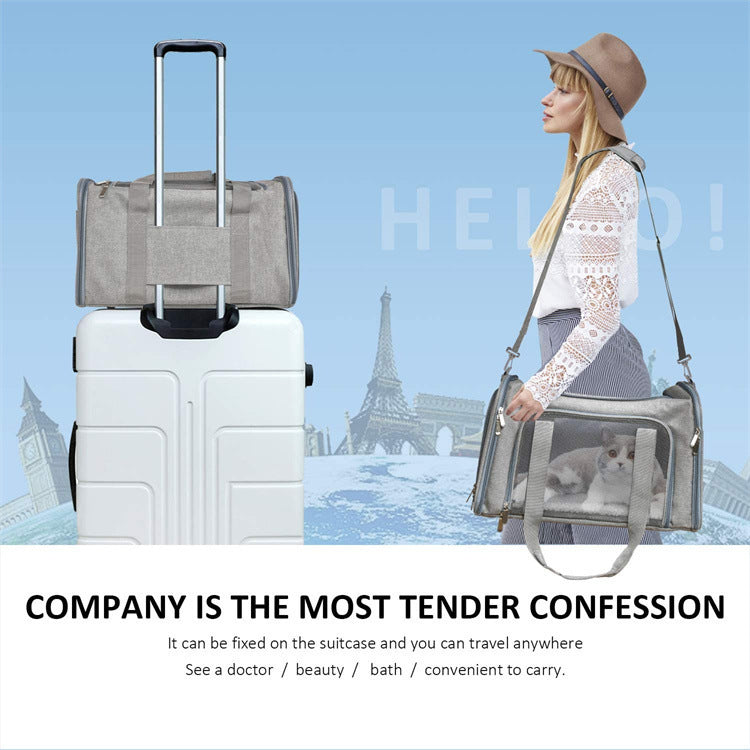 Portable Foldable Hand-held Carrier