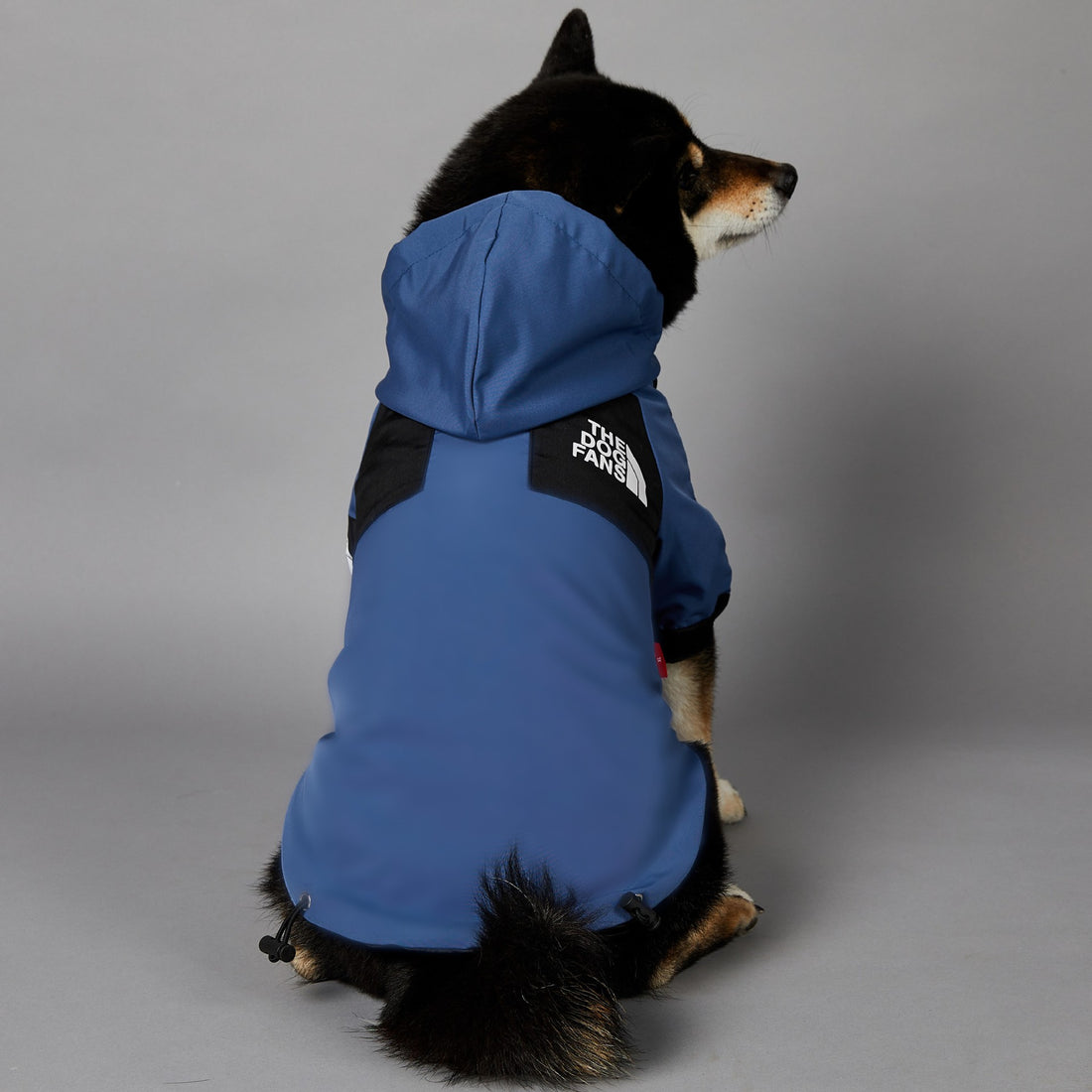 Windproof And Rainproof Pet Shell Jacket