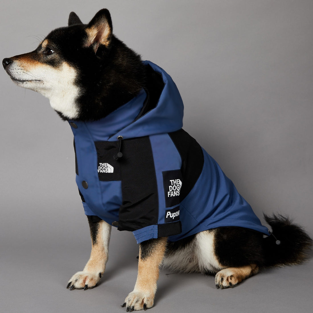 Windproof And Rainproof Pet Shell Jacket