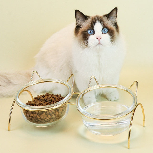 Glass Cat Bowl Drinking Dish Feeder
