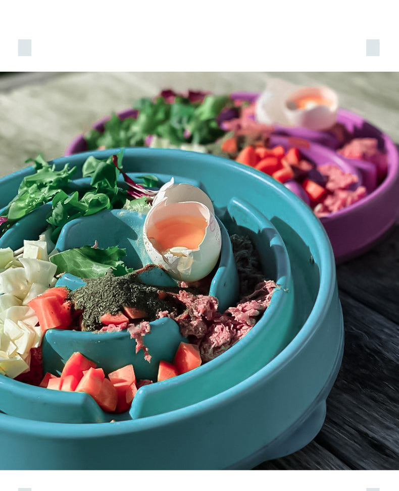 Slow Feeding Anti-choke Bowl