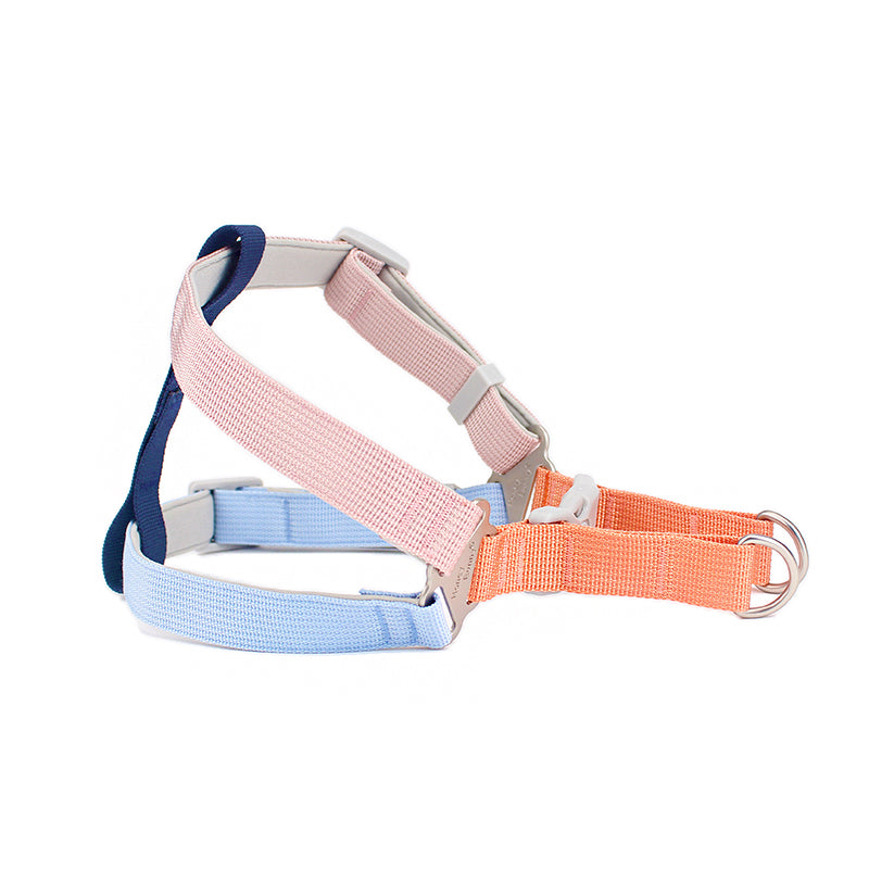Colorful Outdoor Hand Holding Leash Pet Supplies